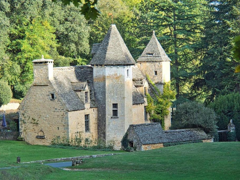 Logement D'Exception Dans Le Chateau De Lacypierre Saint-Crépin-et-Carlucet Exterior foto